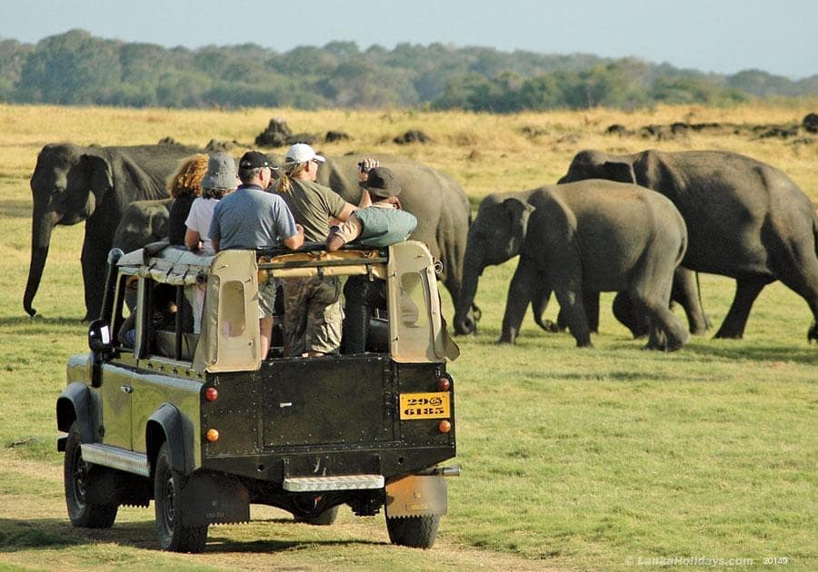 Safari & Eco Tours
