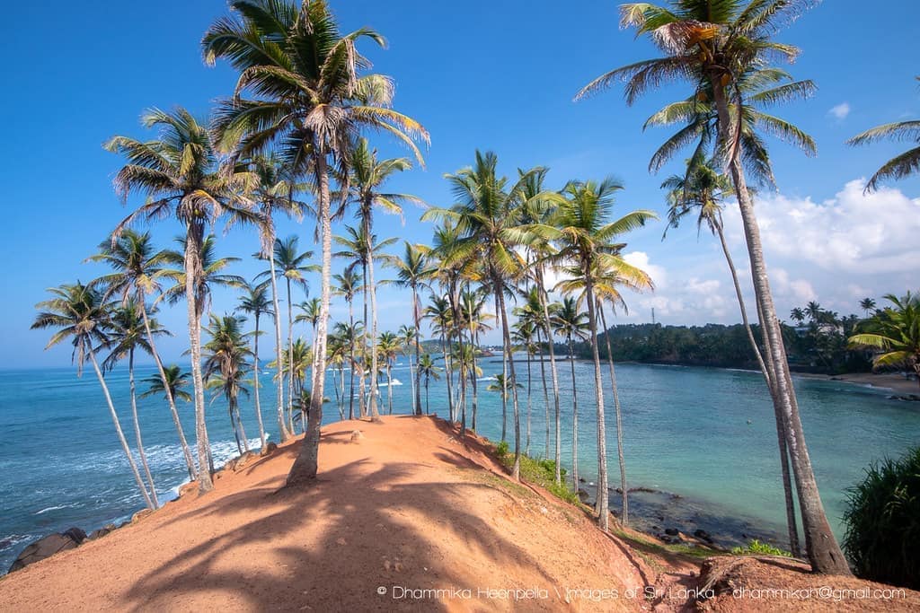 General tours photo 8