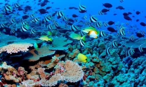 Hiking Trails gallery preview 5